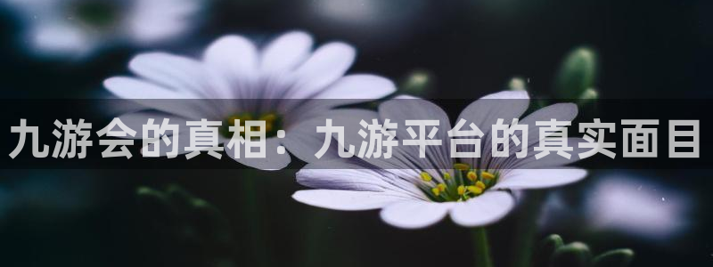 聚富welcome电子有限公司：九游会的真相：九游平台的真实面目