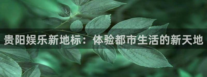 聚富welcome环保：贵阳娱乐新地标：体验都市生活的新天地