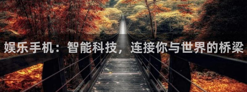 聚富welcome官网：娱乐手机：智能科技，连接你与世界的桥梁