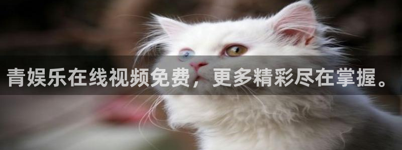 聚富welcome官网注册：青娱乐在线视频免费，更多精彩尽在掌握。