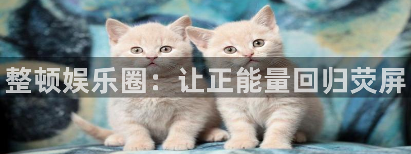 聚富welcome4平台：整顿娱乐圈：让正能量回归荧屏