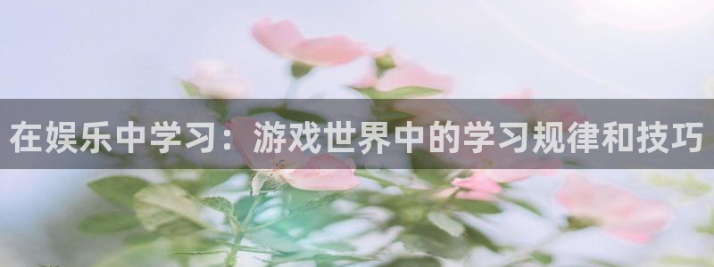 聚富welcome能源：在娱乐中学习：游戏世界中的学习规律和技巧