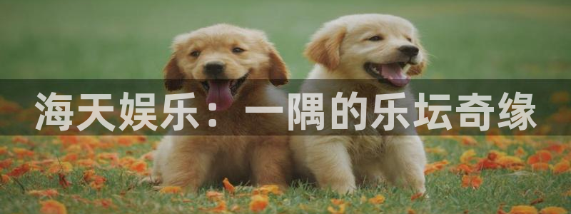 聚富welcome平台开户链接：海天娱乐：一隅的乐坛奇缘
