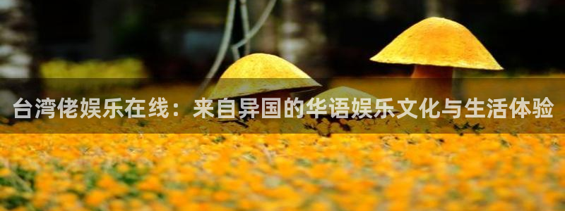 聚富welcome体育老板是谁：台湾佬娱乐在线：来自异国的华语娱乐文化与生活体验