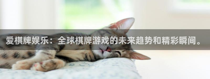 聚富welcome环保：爱棋牌娱乐：全球棋牌游戏的未来趋势和精彩瞬间。