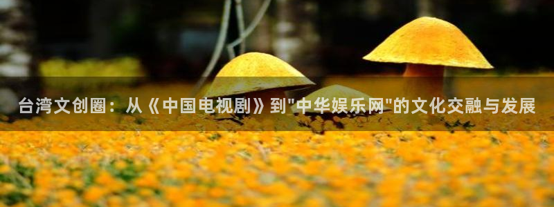 聚富welcome体育在线注册：台湾文创圈：从《中国电视剧》到\