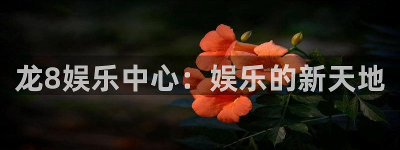 聚富welcome体育2：龙8娱乐中心：娱乐的新天地