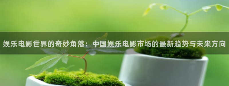聚富welcome集团股票：娱乐电影世界的奇妙角落：中国娱乐电影市场的最新趋势与未来方向