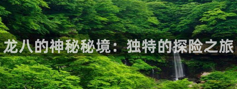 佛山市南海聚富welcome机电仪器有限公司：龙八的神秘秘境：独特的探险之旅