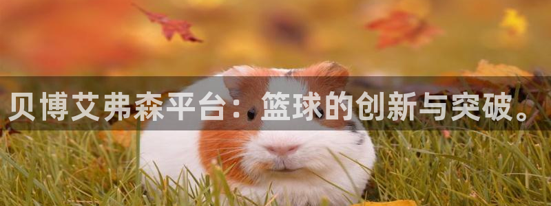 聚富welcome3：贝博艾弗森平台：篮球的创新与突破。
