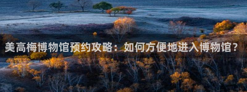 聚富welcome5招商：美高梅博物馆预约攻略：如何方便地进入博物馆？
