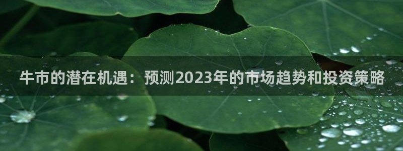 聚富welcome4：牛市的潜在机遇：预测2023年的市场趋势和投资策略