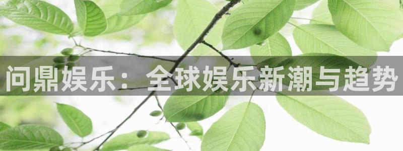 聚富welcome体育用品：问鼎娱乐：全球娱乐新潮与趋势
