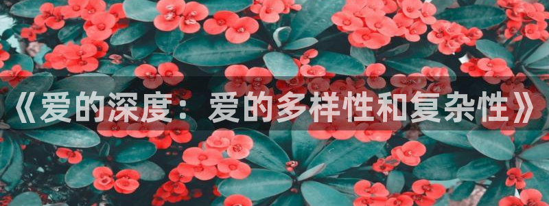 聚富welcome主管：《爱的深度：爱的多样性和复杂性》
