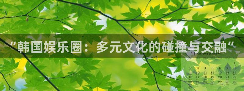 聚富welcome体育3：“韩国娱乐圈：多元文化的碰撞与交融”
