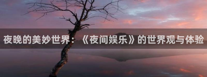 聚富welcome平台主管：夜晚的美妙世界：《夜间娱乐》的世界观与体验