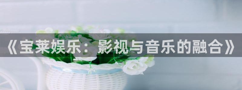 聚富welcome体育2：《宝莱娱乐：影视与音乐的融合》